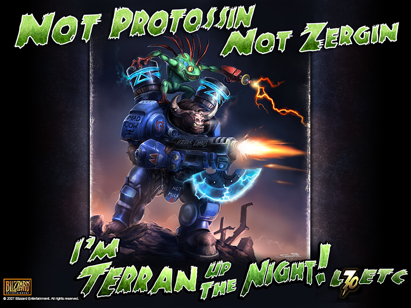 lvl70 Tauren Chieftan.jpg
